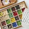 Cuentas de Cristal Checo Pintadas en Oro Doméstico Retro Caracol Pájaro Flor de Durazno Material Hecho a Mano Pulsera Cadena de Teléfono Móvil Accesorios de Joyería