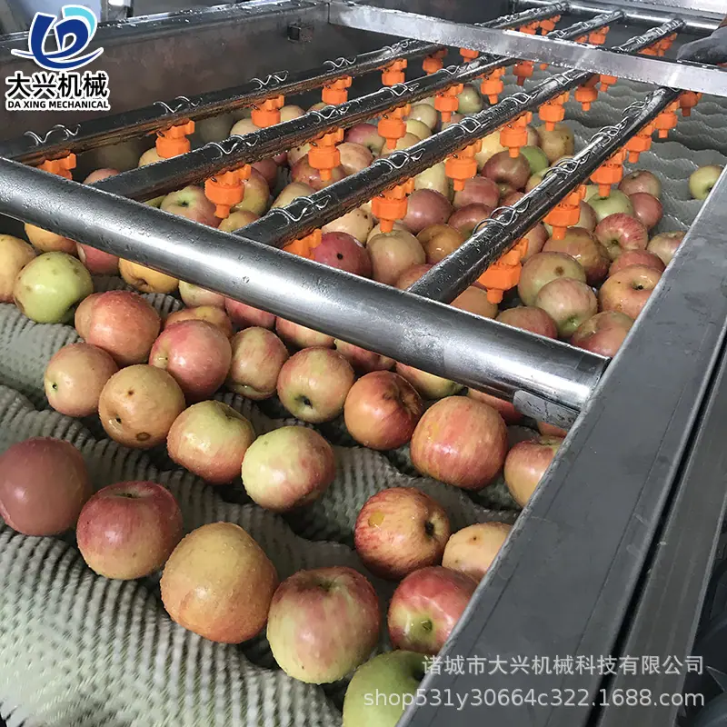 平行毛辊清洗机18.jpg