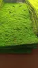 Grama Artificial com Flocagem Pedra Gramado Musgo Pedra Bonsai Planta Musgo