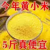 5 jin Mijo Amarillo del Noreste para Confinamiento Postparto Arroz Nuevo Fresco Comestible Arroz de Granja Mijo de Cinco Granos para Cocinar Gachas Gachas de Mijo