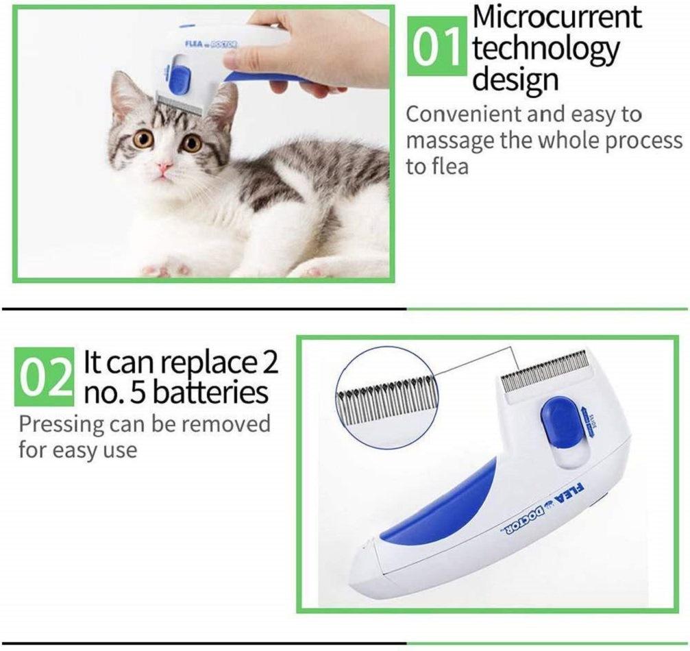 61dh8cFRtqL._SL1000_