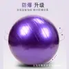 Pelota de Yoga Pilates PVC Engrosada Antiexplosión Resistencia Yoga Tubo de Trigo Pelota Fitness Ejercicio Yoga Pelota de Equilibrio
