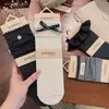Nuevos calcetines a rayas de bloques de color para otoño e invierno para mujer, con un ribete de encaje verde café, calcetines sin costuras versátiles y modernos de estilo japonés hasta la mitad de la pantorrilla.