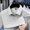 Camiseta tipo Polo de Verano 2026 para Hombre Joven y de Mediana Edad, Fresca, Transpirable, Moderna, Camiseta Casual de Manga Corta, Polo para Hombre