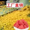 Mango Seco Tailandés en Rodajas Gruesas, Peso Neto, a Granel, Dulce y Ácido, Empaquetado Individualmente, Snacks de Fruta Deshidratada, Venta al por Mayor de Fábrica