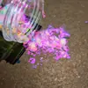 Pó brocado de nuvem mágica de alta concentração Pó de opala japonês Pó Aurora de alto brilho Farinha de espelho transparente Pó de pérola flash 10g