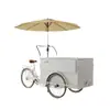 Carrito de puesto de triciclo de tracción humana estilo europeo, triciclo de burro reversible, carrito de puesto de comida multifuncional para mercado nocturno