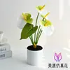 Bonsái de Hoja de Anturio Rojo Artificial, Flores Artificiales de Alta Gama, Decoración de Interiores, Plantas Artificiales en Maceta, Suministro Directo del Fabricante, Plantas Verdes