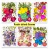 33 Piezas de Combinación con Relieve, Se Pueden Usar para Calcomanías Hechas a Mano, Fundas de Teléfono Secadas con Pegamento, Velas de Aromaterapia, Producción Creativa de Flores, Decoración del Hogar, Regalos de Acción de Gracias y Navidad