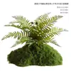 Musgo Sintético Decoración Suave para Interiores Conjunto de Micro-Paisajismo Combinación Ventana Pasillo Musgo Falso Planta Verde Decoración de Paisajismo Arreglo