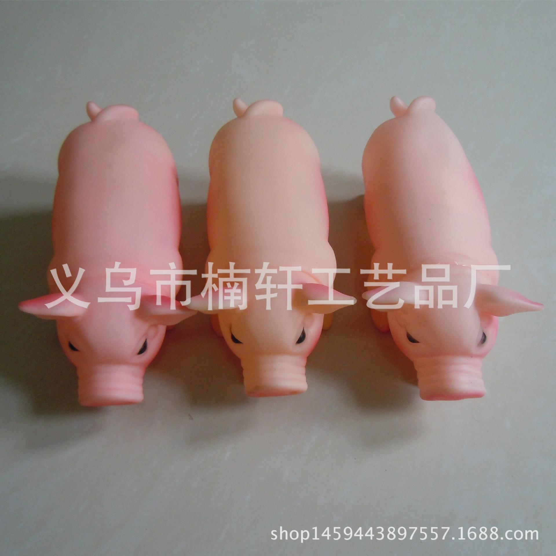 DSCN5056_副本