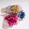 Cielo Estrellado mini ramo fresco hecho a mano decoración diy flor eterna regalo de boda accesorios para sesión de fotos a juego