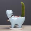 Suministro Jardinería Transfronteriza Amazon Cola de Gato Cactus Carnoso Maceta de Cerámica Dibujos Animados Lindos Adornos de Personalidad