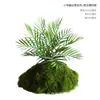 Musgo Sintético Decoración Suave para Interiores Conjunto de Micro-Paisajismo Combinación Ventana Pasillo Musgo Falso Planta Verde Decoración de Paisajismo Arreglo