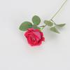Rosa Pequeña de Terciopelo Simulado Perla Rosa Hogar Individual Rosa Día de San Valentín Chino Decoración de Pared Flor Falsa Venta al por Mayor