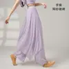 Nuevo estilo de traje de danza clásica, top de malla elástica con pequeñas mangas acampanadas, conjunto de práctica de gasa fluida, atuendo étnico para actuación de danza china