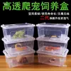 Caja para Mascotas Reptiles para Cangrejos Ermitaños, Geckos, Ranas Cornudas, Hámsteres, Grillos, Lagartijas, Tortugas; Caja para Terrario de Reptiles