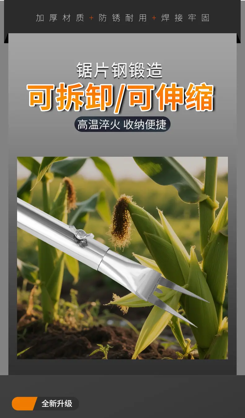 详情_11.jpg