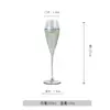 Juego de Copas de Vino Sijin, Copas de Vino de Cristal, Decantador, Copa Creativa Galvanizada Color Gris Humo, Juego de Vino