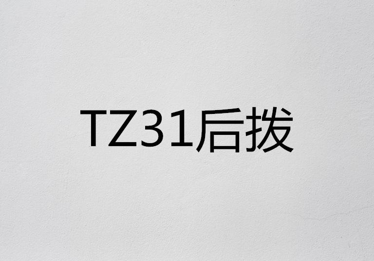tz31