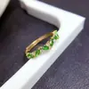 Venta al por mayor de fábrica Popular Anillo de Diopsida Natural Plata S925 Incrustado Piedra Principal 2*4 Joyería de Lujo Venta Directa de Fábrica