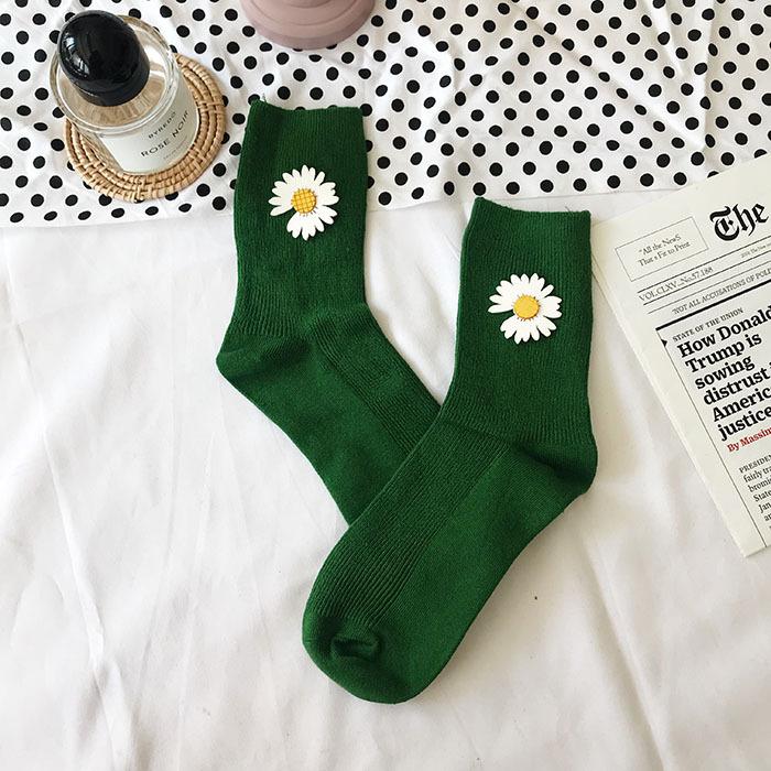 IMG_5396(20191229-232234)