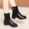 Botines franceses de punta redonda para mujer otoño/invierno 2024 nuevos Joker forrados de vellón botines delgados tacón grueso y botines una generación de cabello