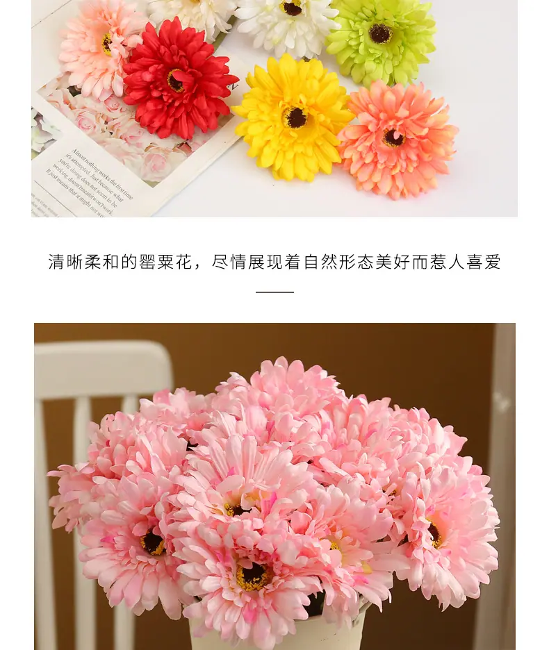 短枝菊-花_03.jpg
