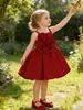 Vestido Infantil Novo Estilo 2026 com Saia Floral para Festa de Aniversário, Vestido Formal Infantil com Flores 3D, Vestido de Cumprimento de Ano Novo, Vestido de Princesa
