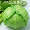 Adereços de vegetais de simulação modelo de vegetal de simulação folhas de alface falsas brócolis repolho adereços de supermercado frutas e vegetais crianças