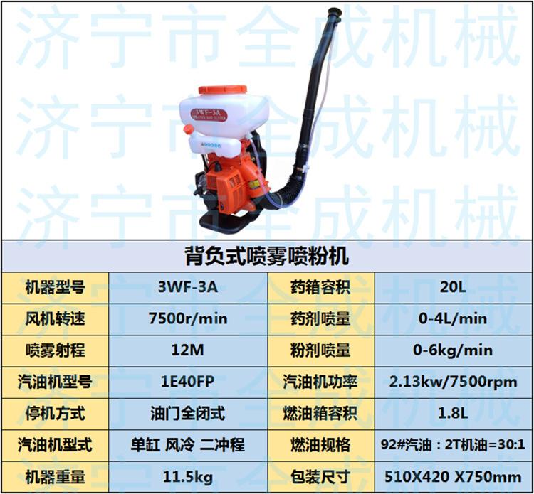 3WF (1).png