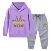 Primavera y Otoño 2023 nueva ropa infantil transfronteriza suéter con capucha para niños pantalones conjunto de dos piezas bebé algodón manga larga