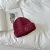 Gorro de Lana Roto Bordado con Letras para Mujer en Otoño e Invierno Nuevo Estilo Coreano Casual Versátil Gorro Tejido Engrosado Cálido