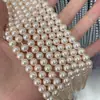 Nanyang Concha Perla Morado Oscuro Rosa Cuentas de Concha Cuentas de Cristal DIY Hecho a Mano Accesorios de Joyería Semi-Terminados Venta al por Mayor