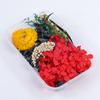 Meimuer moldura de foto com flores secas diy mista decoração de leque redondo material natural vela de aromaterapia diy material de flor seca