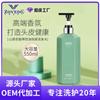 Champú Camellia, hidratante, refrescante, anticaspa, suave, con aminoácidos, control de grasa, fabricante OEM.