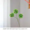 Bolas requintadas de três cabeças são usadas para arranjos florais de casamento, decorando vasos de sala de estar, arranjos florais e embalagens de presentes.