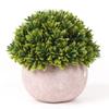 Combinación más vendida de Amazon de plantas en maceta simuladas, Muebles de escritorio para el hogar estilo nórdico, Plantas verdes, Mini bonsái de planta simulada