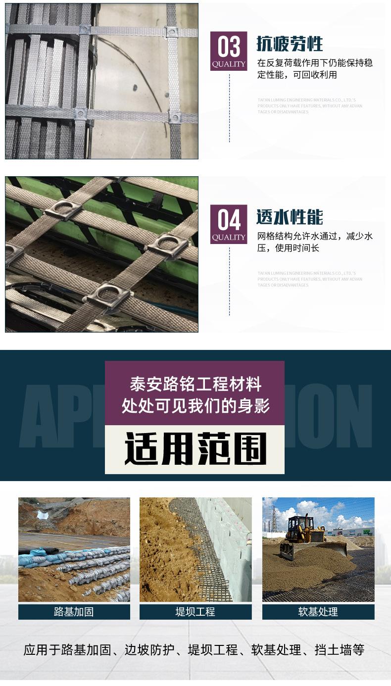 双向注塑拉伸带土工格栅_04.jpg