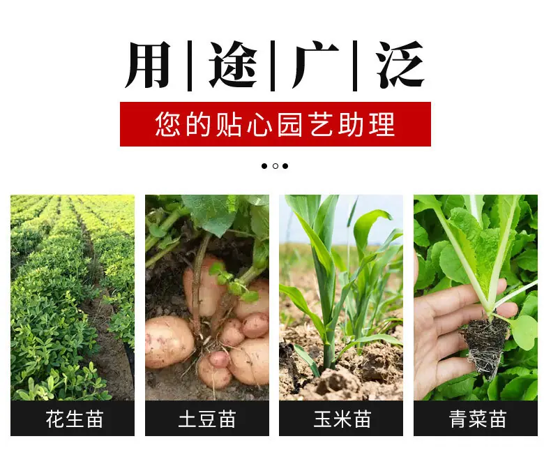 详情_02.jpg