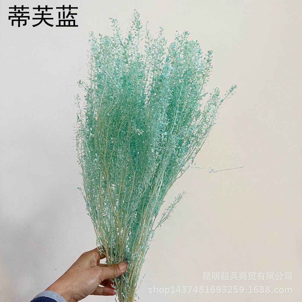 QQ图片20221213152623.jpg