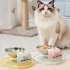 Gato perezoso