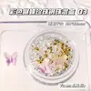 Decoración de Uñas con Gradiente de Color Mariposa Xiaohongshu Perla Cuentas de Acero Cuentas Sinfonía Paquete Mixto de Materiales para Uñas Mariposa