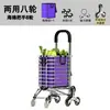 Carrito de Compras Plegable para Uso en Casa, Carrito de Mano Portátil Ligero, Carrito de Compras Pequeño Portátil Engrosado, Carrito Ahorrador de Esfuerzo para Personas Mayores