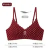 Para Curvas Sujetador Francés de Lunares sin Aros para Mujer Pecho Pequeño Push-up Soporte Suave Sin Costuras Transpirable Cómodo Fino Lencería