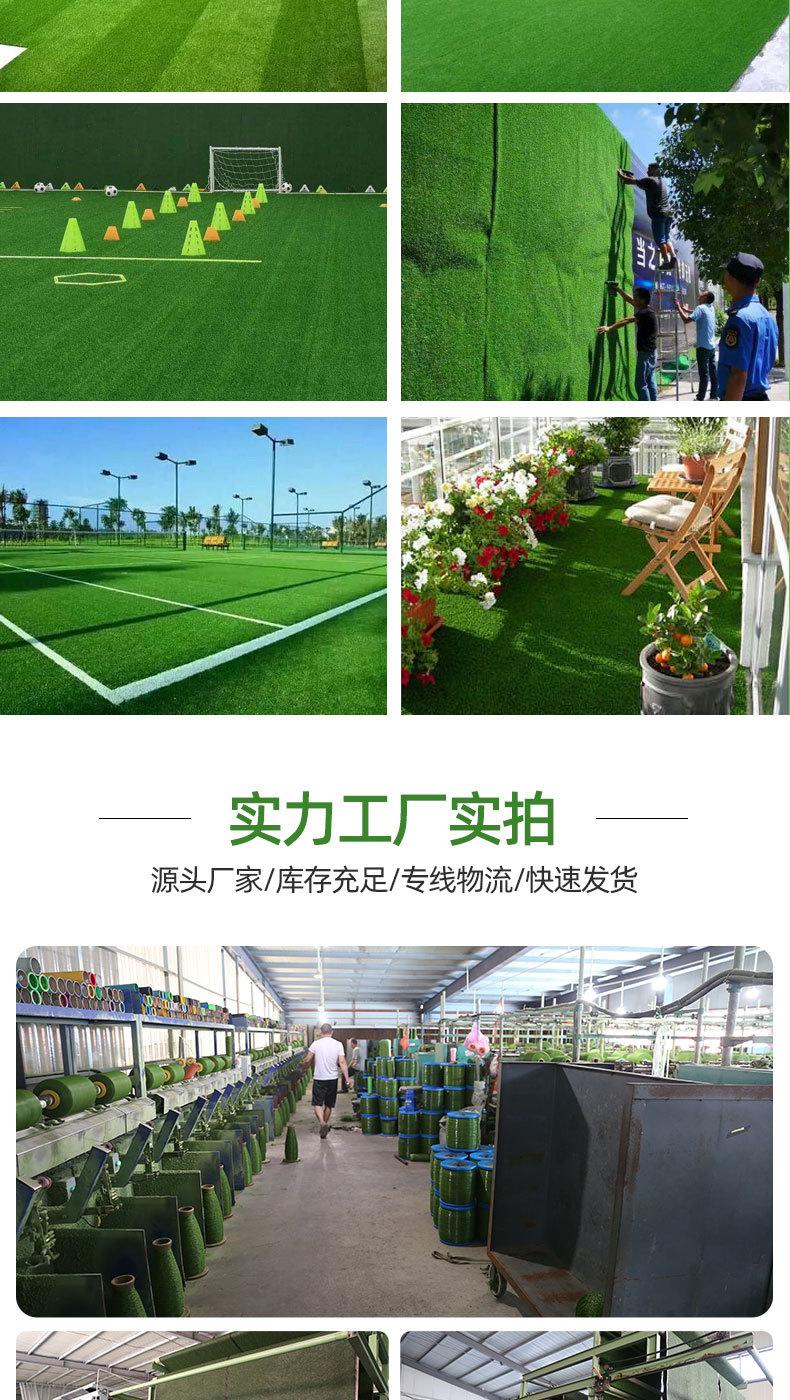 草坪网_09.jpg