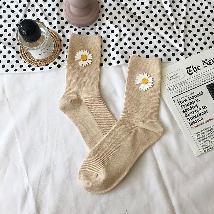 IMG_5388(20191229-232013)