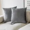 Fundas de cojín para sofá de tela modernas minimalistas hechas a medida, un producto popular transfronterizo, con fundas de cojín decorativo de terciopelo de color liso (relleno no incluido)
