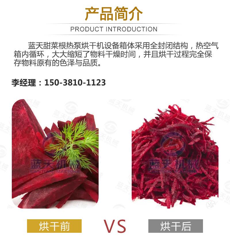 南瓜_02.jpg
