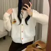 Cardigan de Tricô Decorativo de Abóbora Estéreo de Manga Longa Estilo Coreano Outono e Inverno Novo Casaco Suéter de Gola Redonda Estilo Solto Preguiçoso para Mulheres